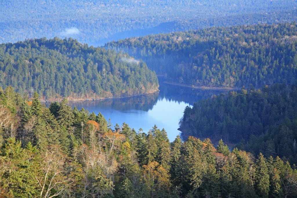 Homes for sale in Metchosin