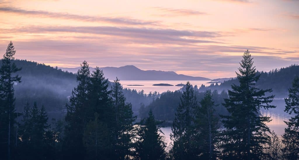 Homes for sale in Mill Bay