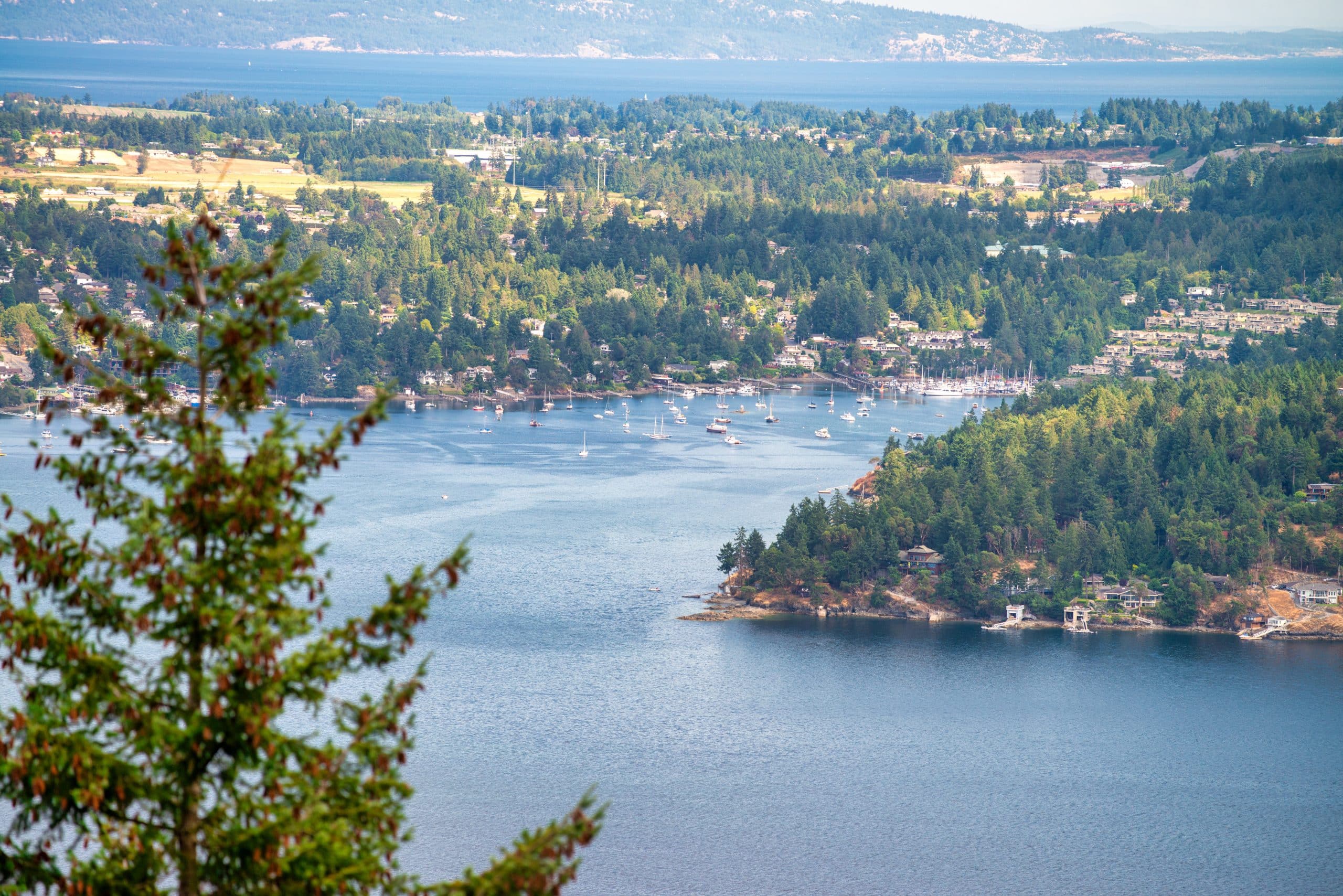 Selling your Home in Saanich