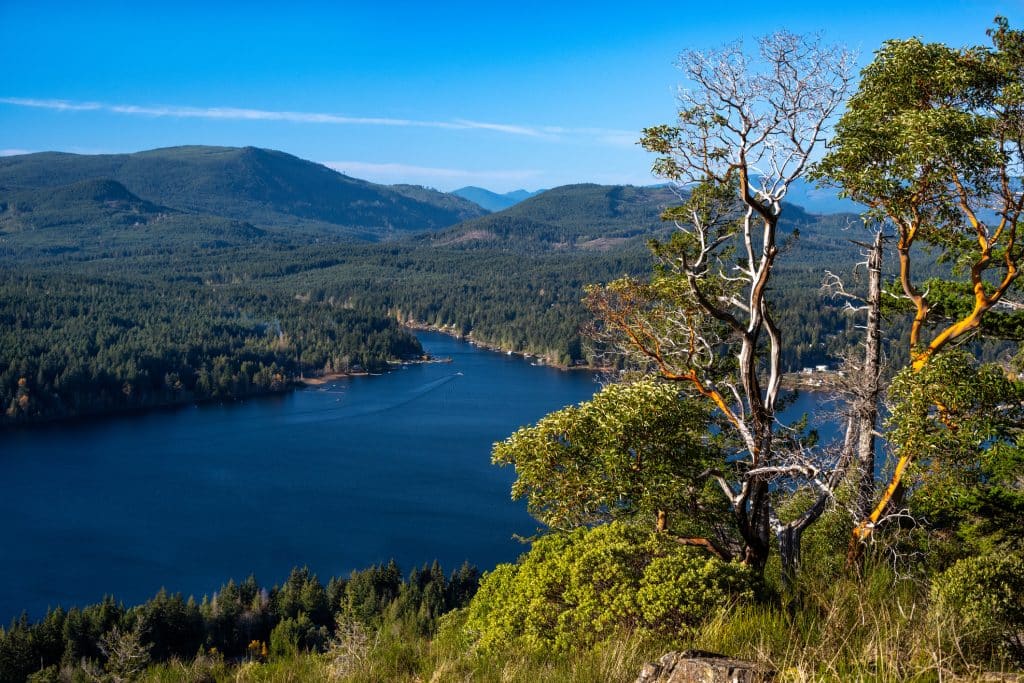 Homes for sale in Shawnigan Lake